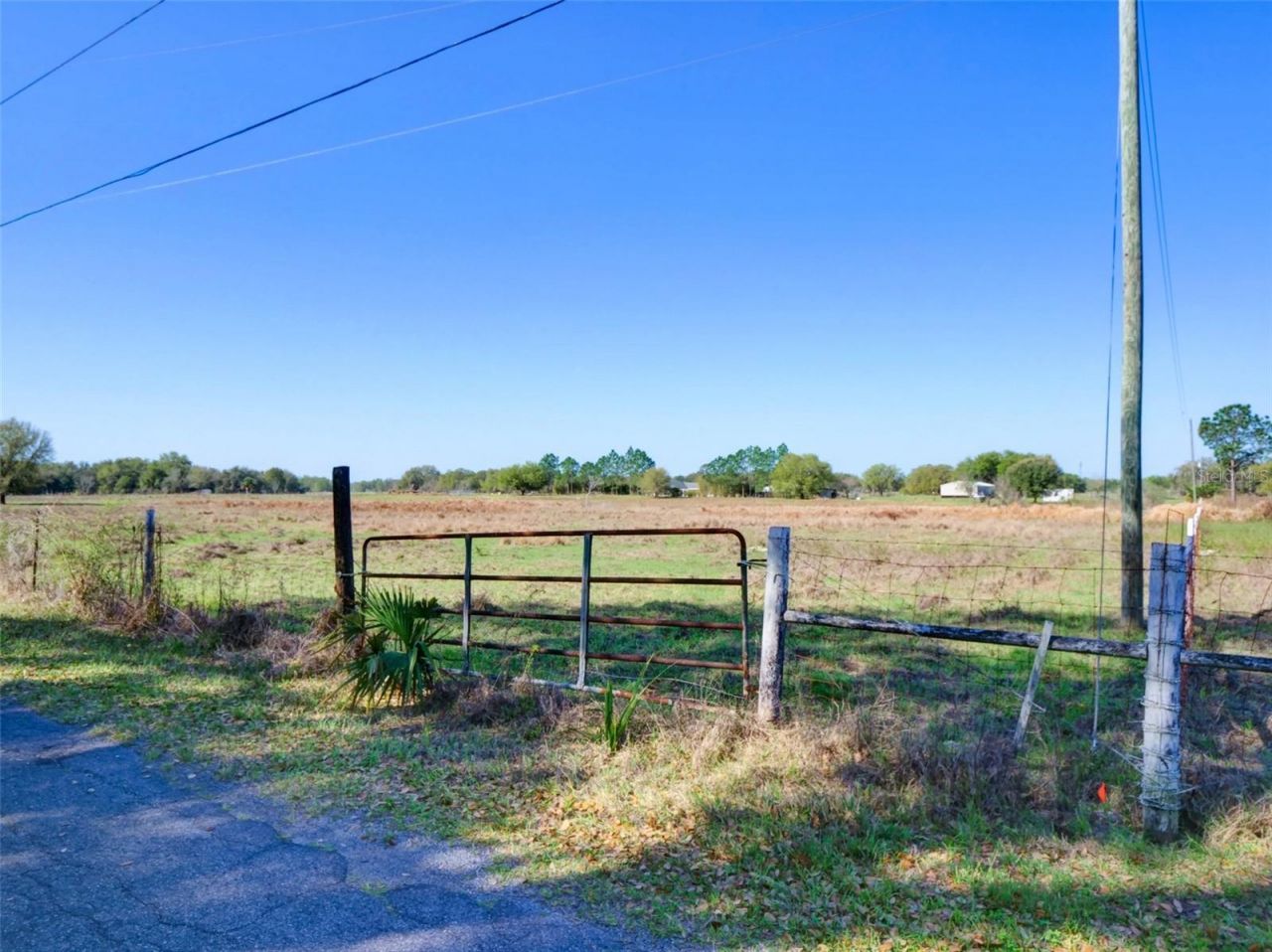 000000- Cr 614a, Bushnell, FL 33513 Photo