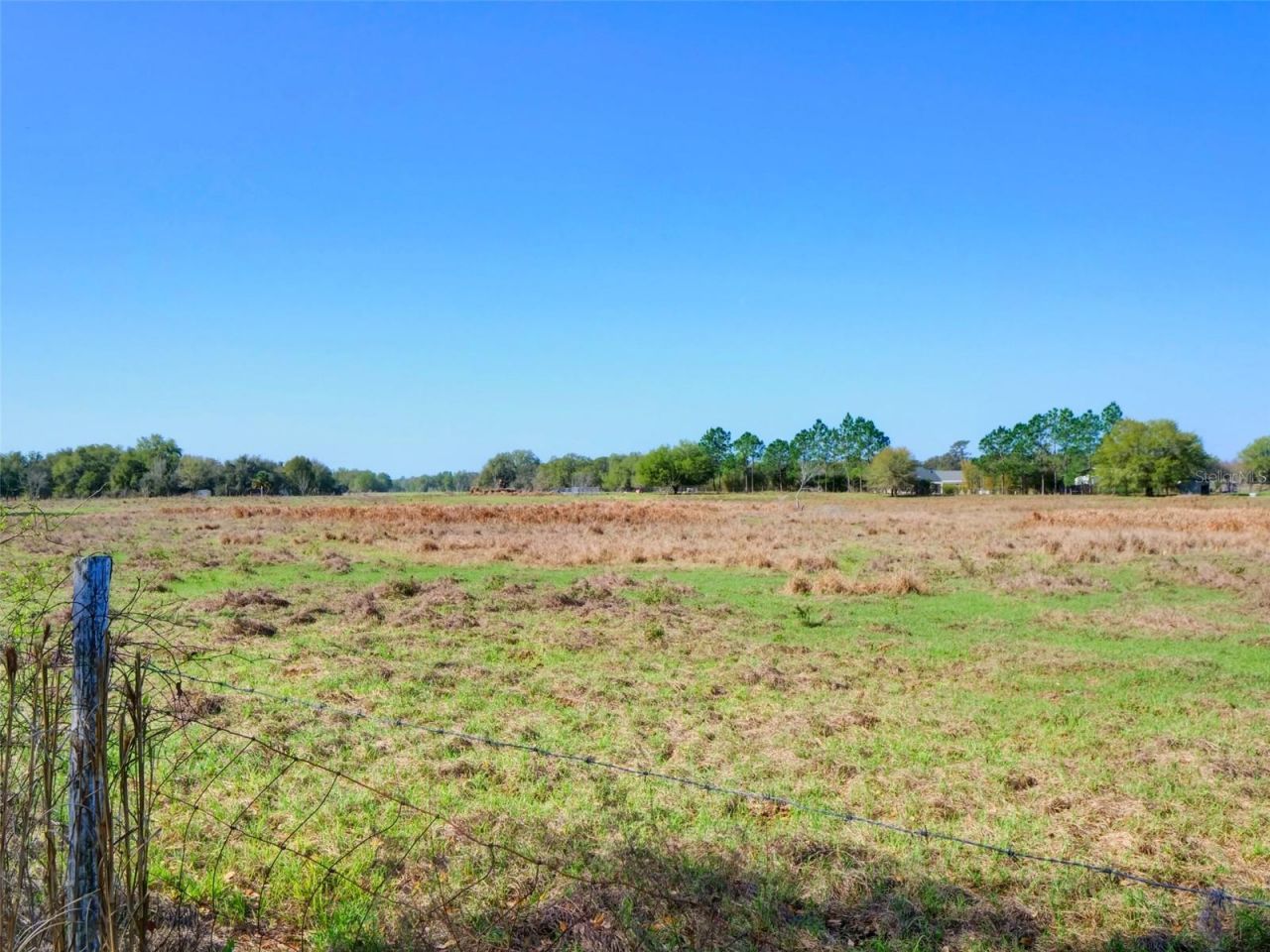 000000- Cr 614a, Bushnell, FL 33513 Photo