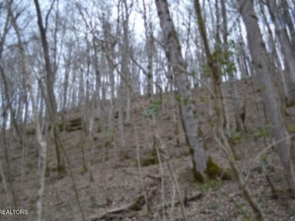 290 Hazel Huffines Lane, Whitleyville, TN 38588