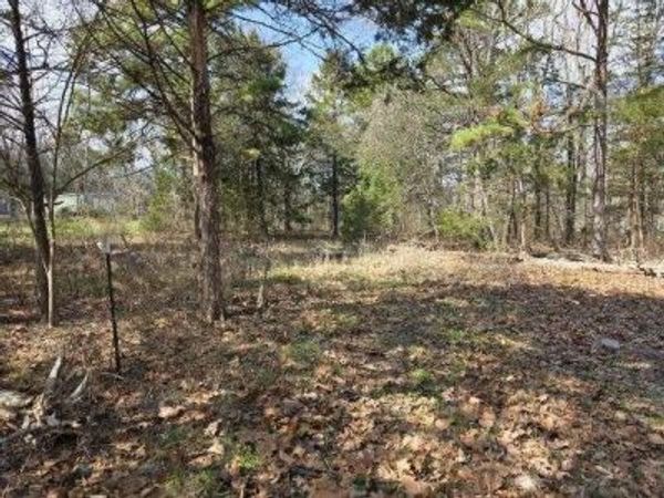 4880 Polite Road , Omaha, AR 72662