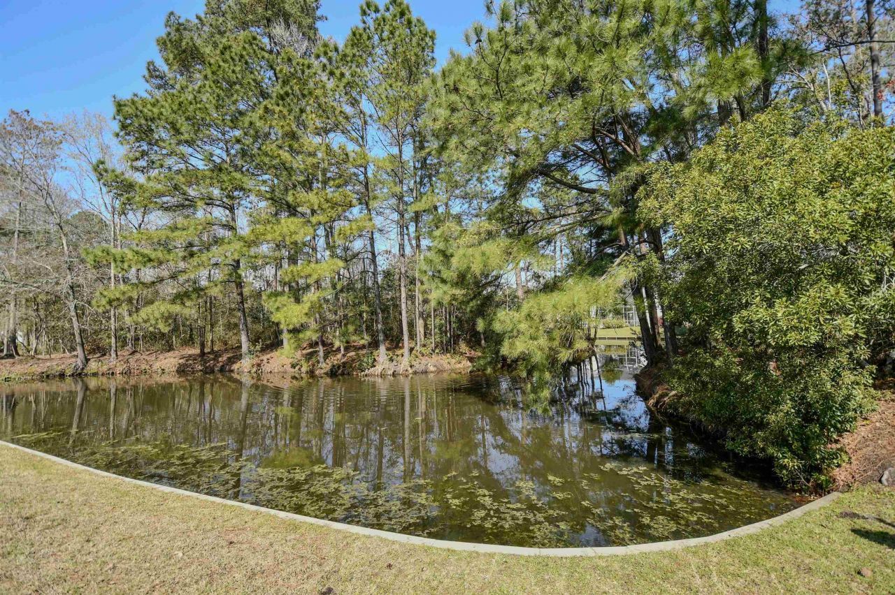 193 Glenwood Dr. Photo 32