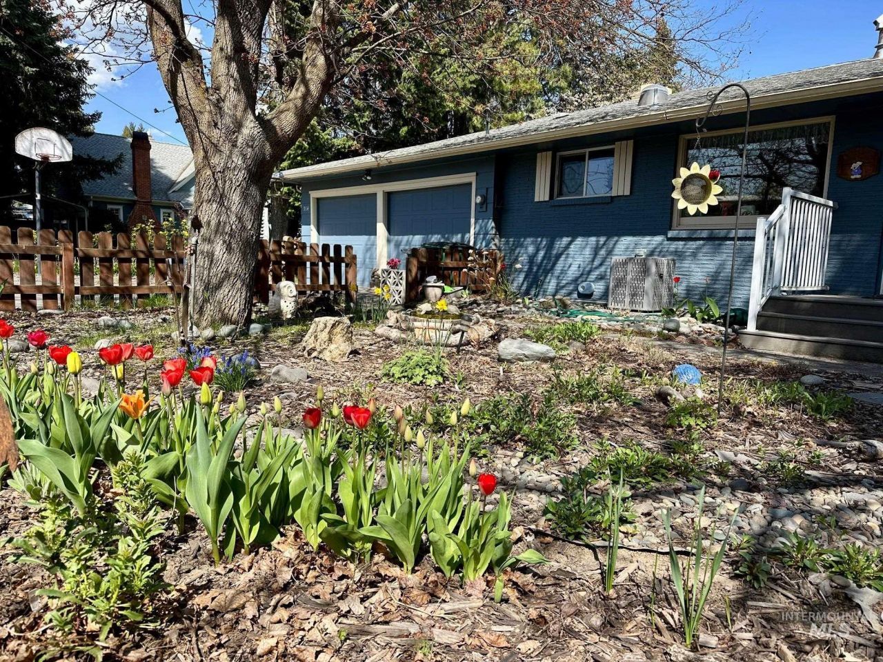 914 Orchard Ave, Moscow, ID 83843 Main Photo