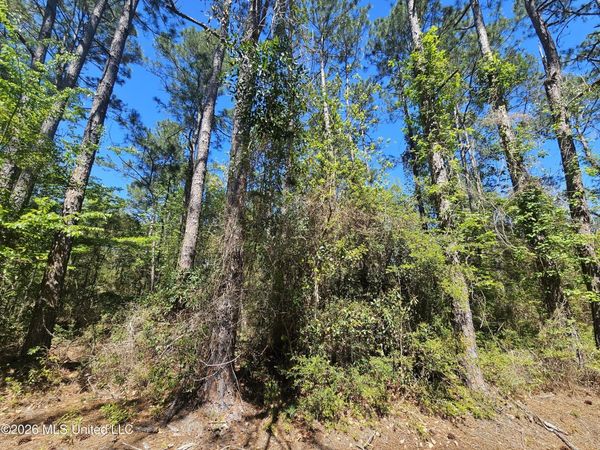 Nhn E Carroll Street, Bay Saint Louis, MS 39521