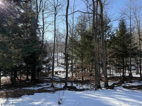 7 Old Trail, Frankfort, MI 49635