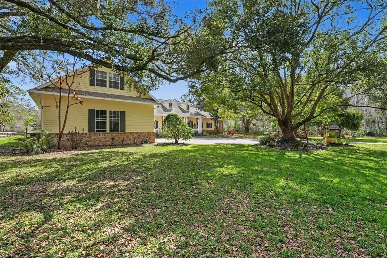 10823 Alico Pass, New Port Richey, FL 34655 Photo