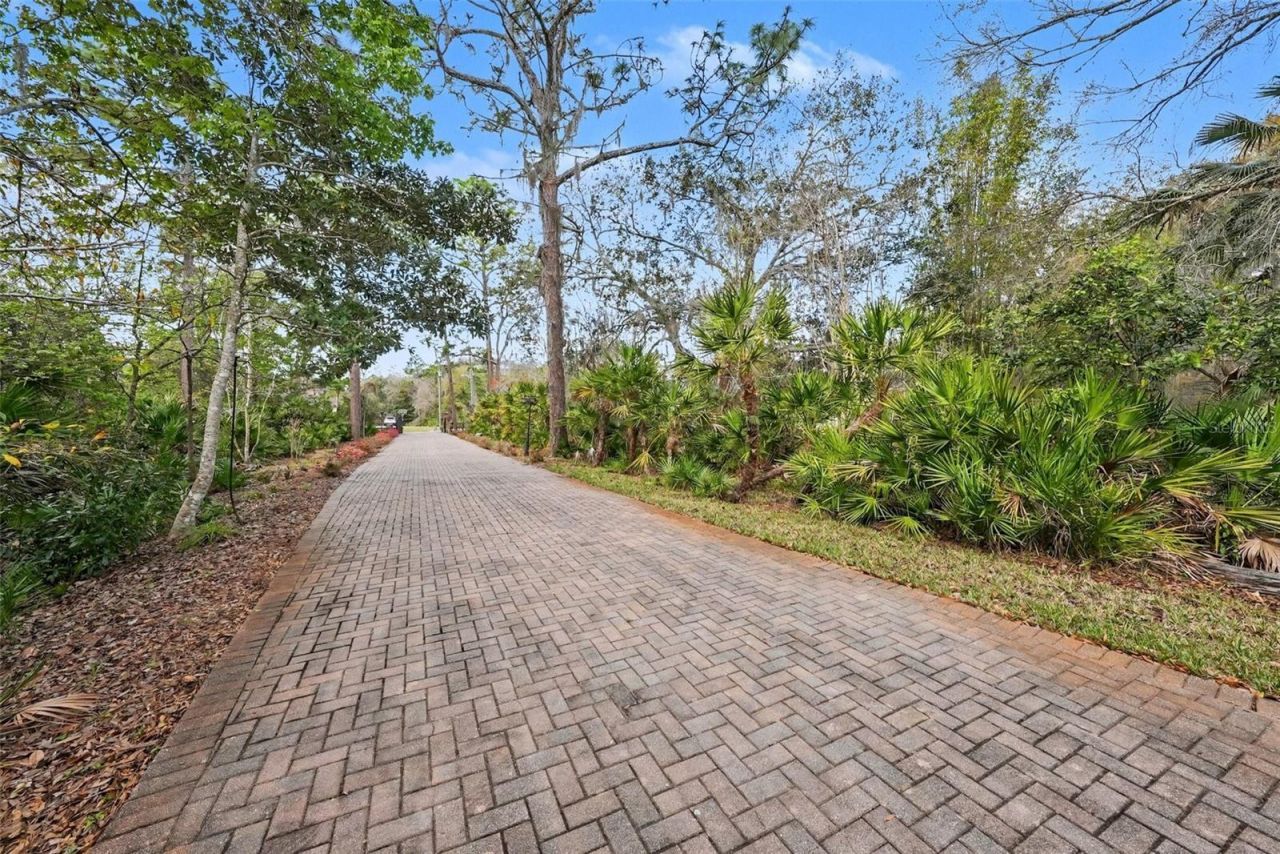 10823 Alico Pass, New Port Richey, FL 34655 Photo