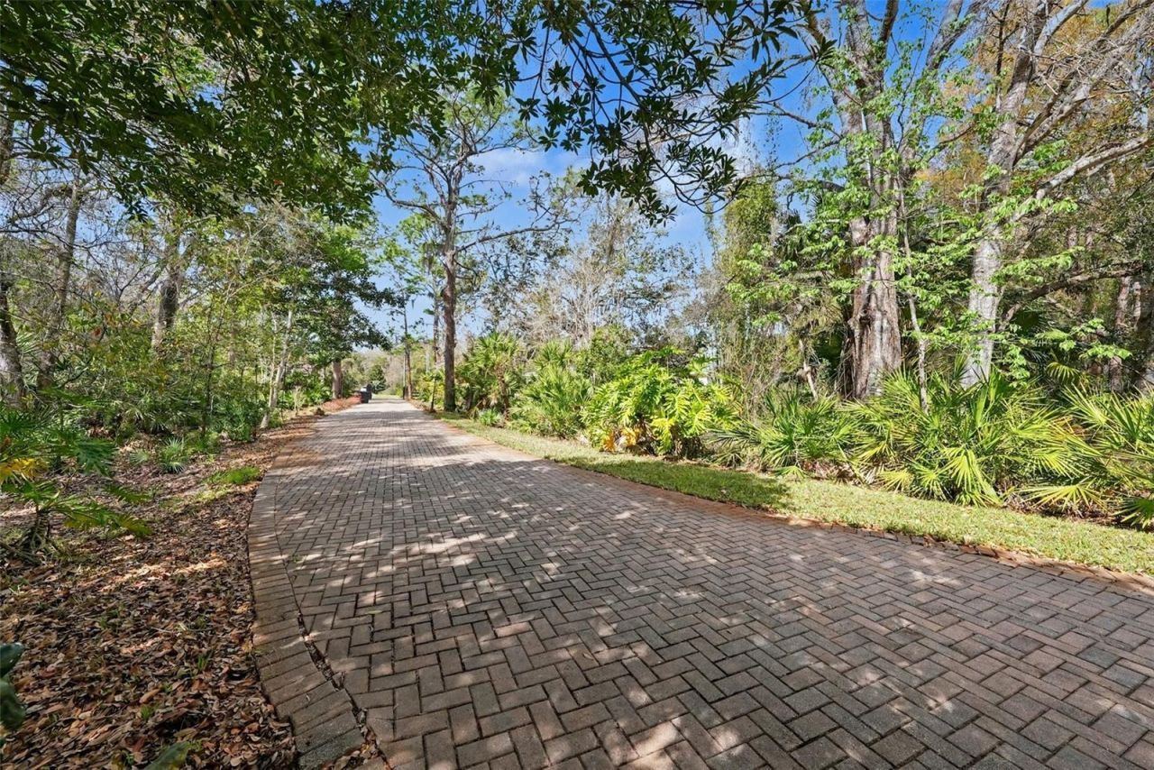 10823 Alico Pass, New Port Richey, FL 34655 Photo