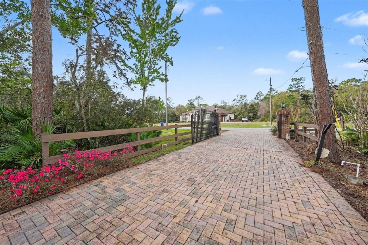 10823 Alico Pass, New Port Richey, FL 34655 Photo