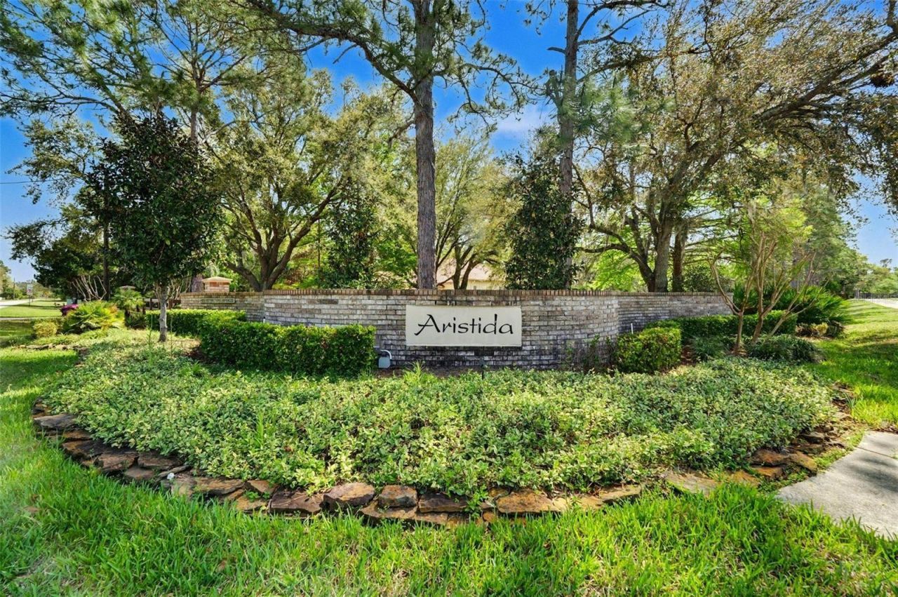 10823 Alico Pass, New Port Richey, FL 34655 Photo