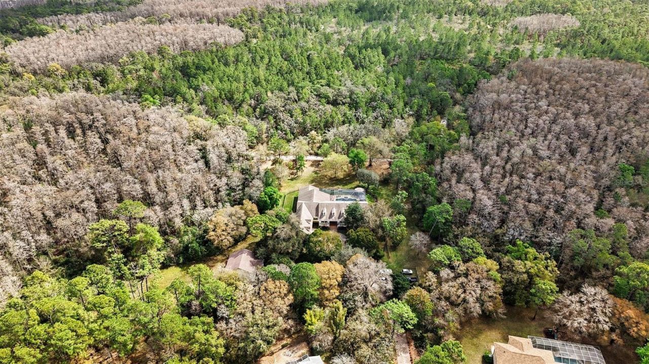 10823 Alico Pass, New Port Richey, FL 34655 Photo