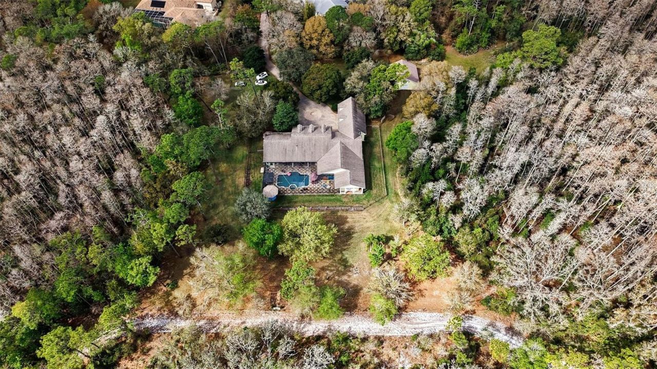 10823 Alico Pass, New Port Richey, FL 34655 Photo