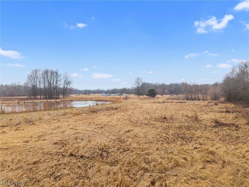 6502 N Park Avenue, Bristolville, OH 44402 Photo 21