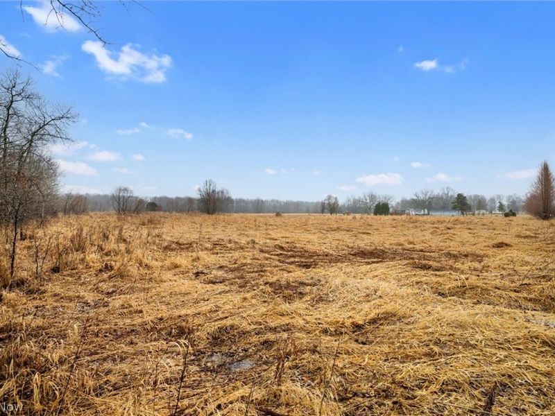 6502 N Park Avenue, Bristolville, OH 44402 Photo 22