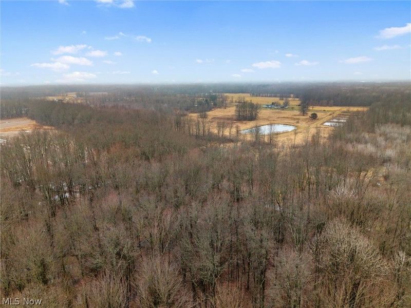 6502 N Park Avenue, Bristolville, OH 44402 Photo 31