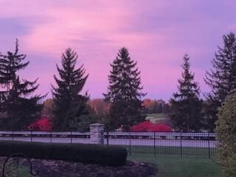 9978 Lavenham Circle W, Powell, OH 43065 Photo 27