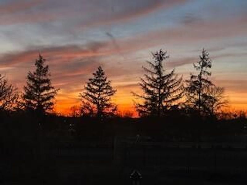 9978 Lavenham Circle W, Powell, OH 43065 Photo 28