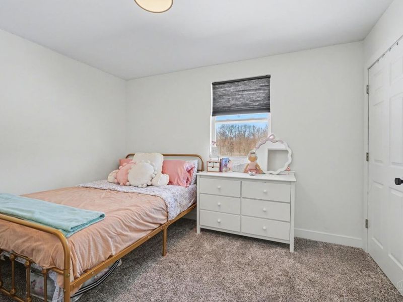 14039 New Harmony Salem Road, Mount Orab, OH 45154 Photo 17