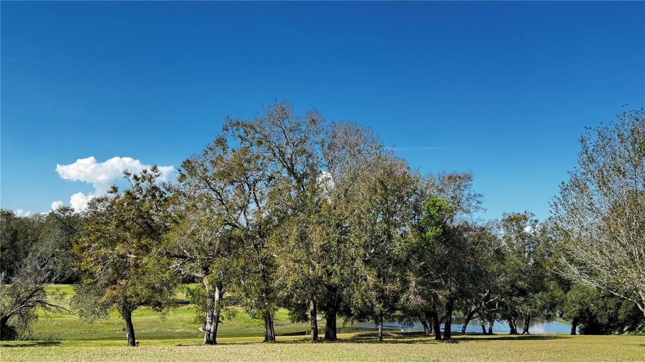 3401 Wax Myrtle Circle, Unit 1745, Zellwood, FL 32798 Photo