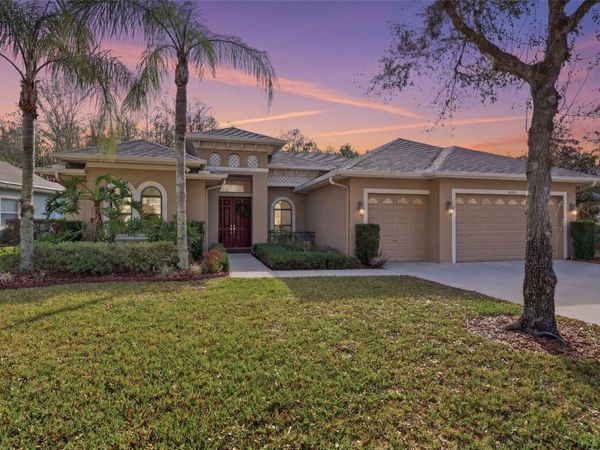 14834 MAN O WAR DRIVE , ODESSA, FL 33556