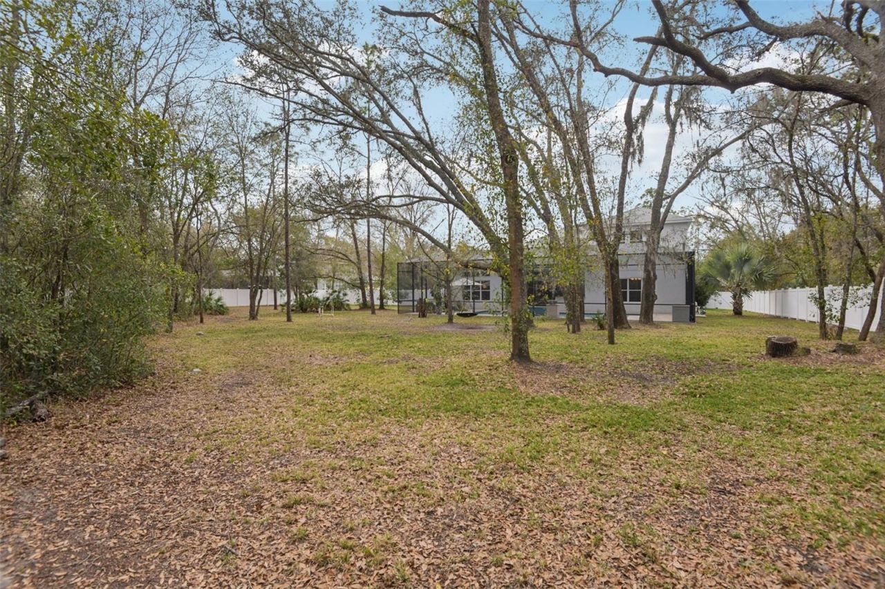2304 Clement Road, Lutz, FL 33549 Photo