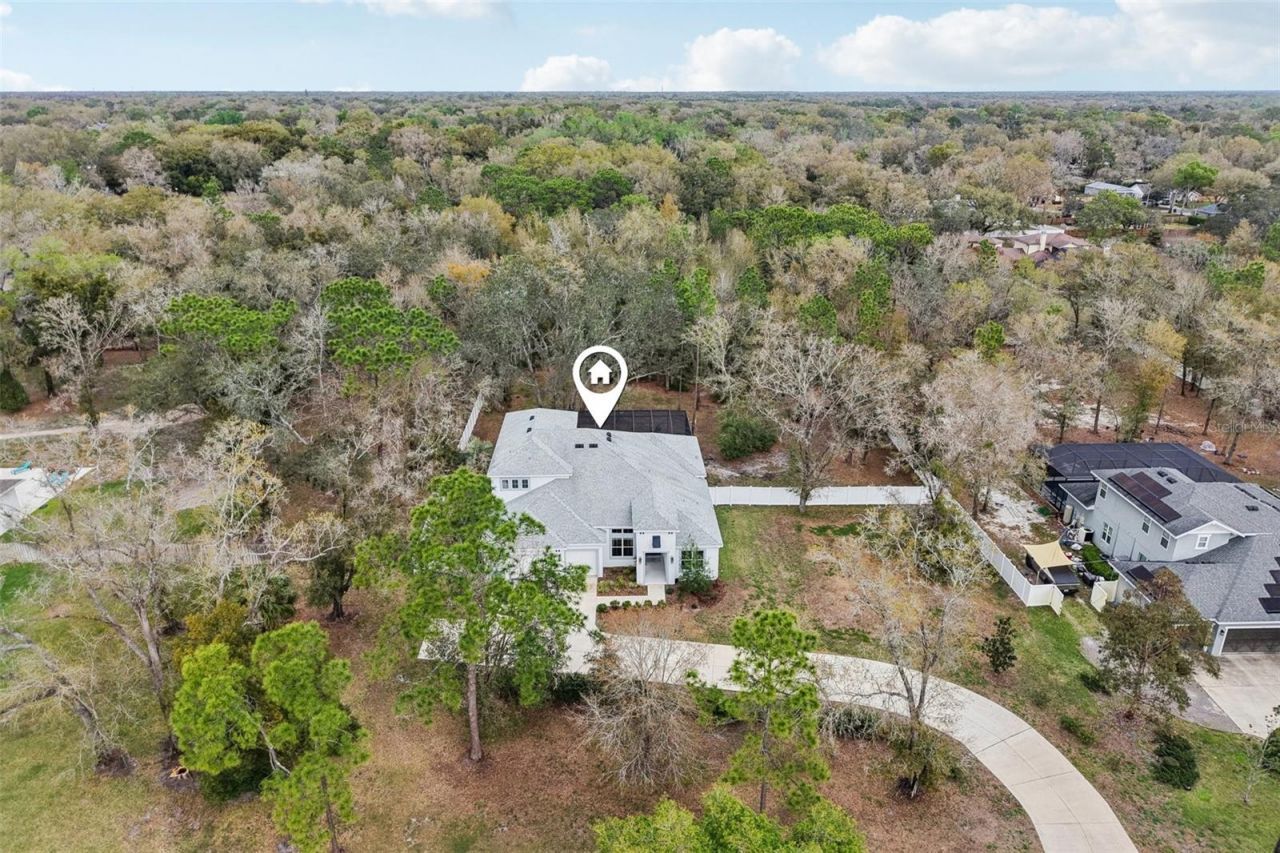 2304 Clement Road, Lutz, FL 33549 Photo