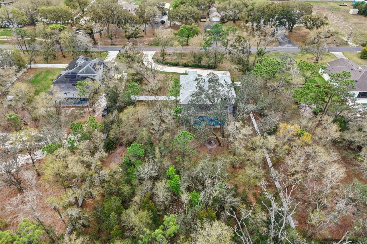 2304 Clement Road, Lutz, FL 33549 Photo