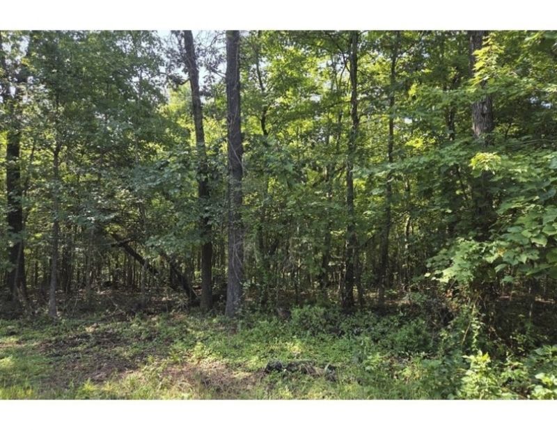 Pamela Lane , Bella Vista, AR 72715 Main Photo