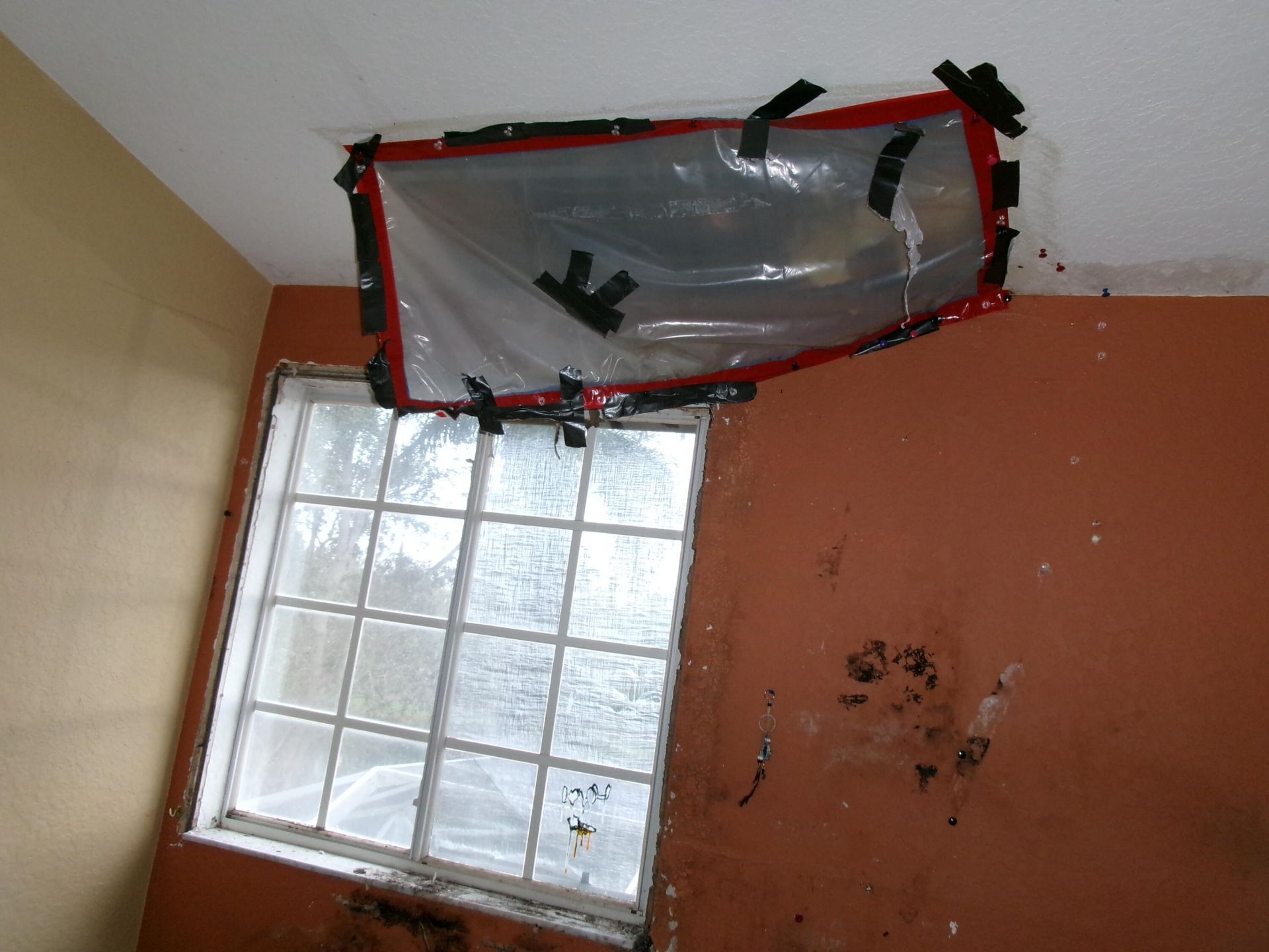 149 Cameron Drive, Weston, FL 33326 Photo