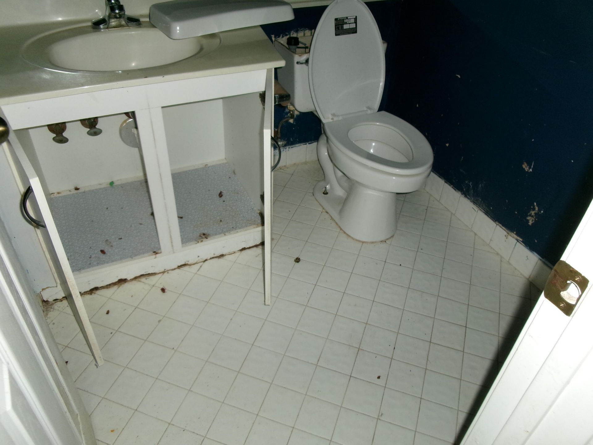 149 Cameron Drive, Weston, FL 33326 Photo