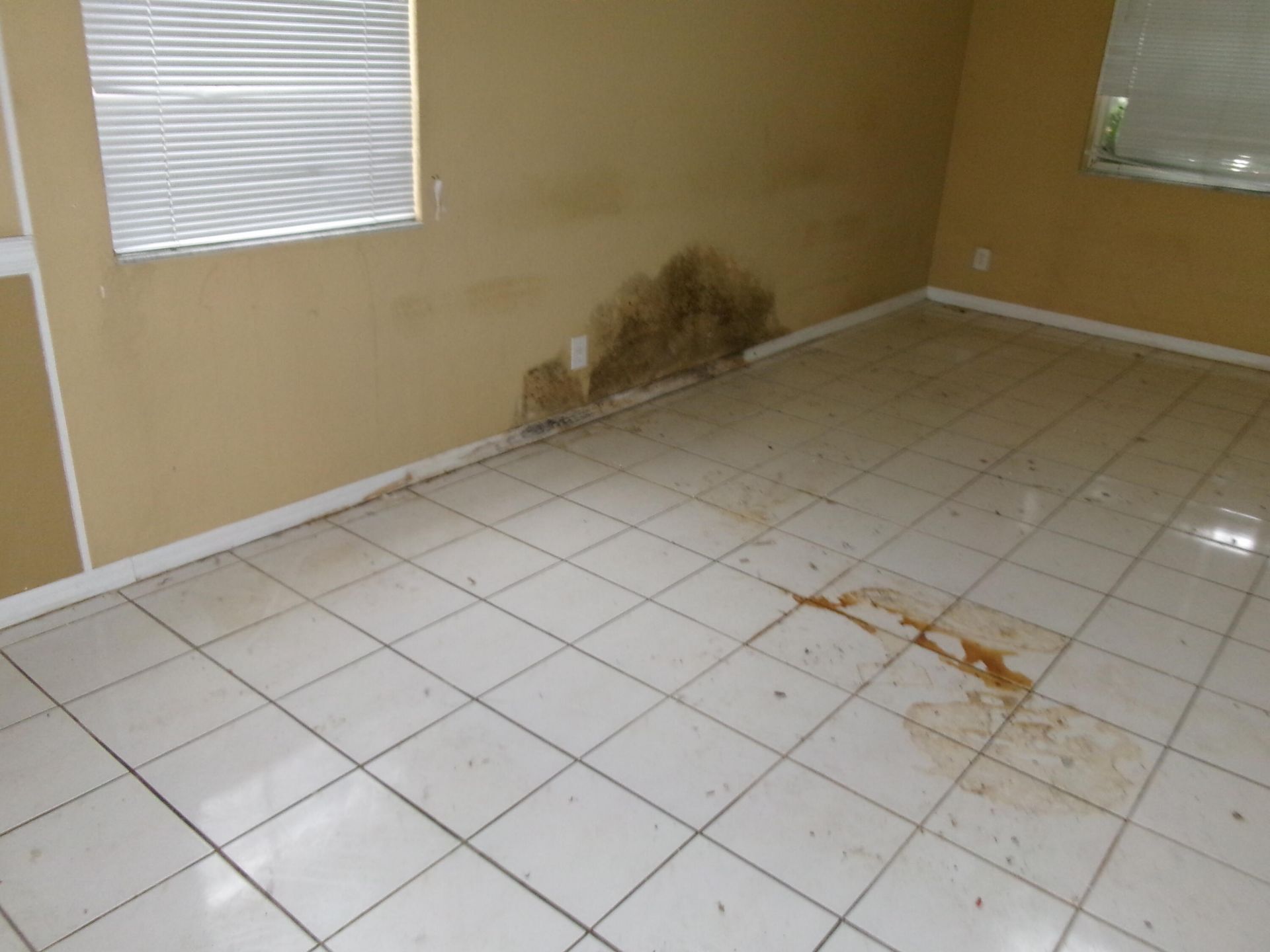 149 Cameron Drive, Weston, FL 33326 Photo