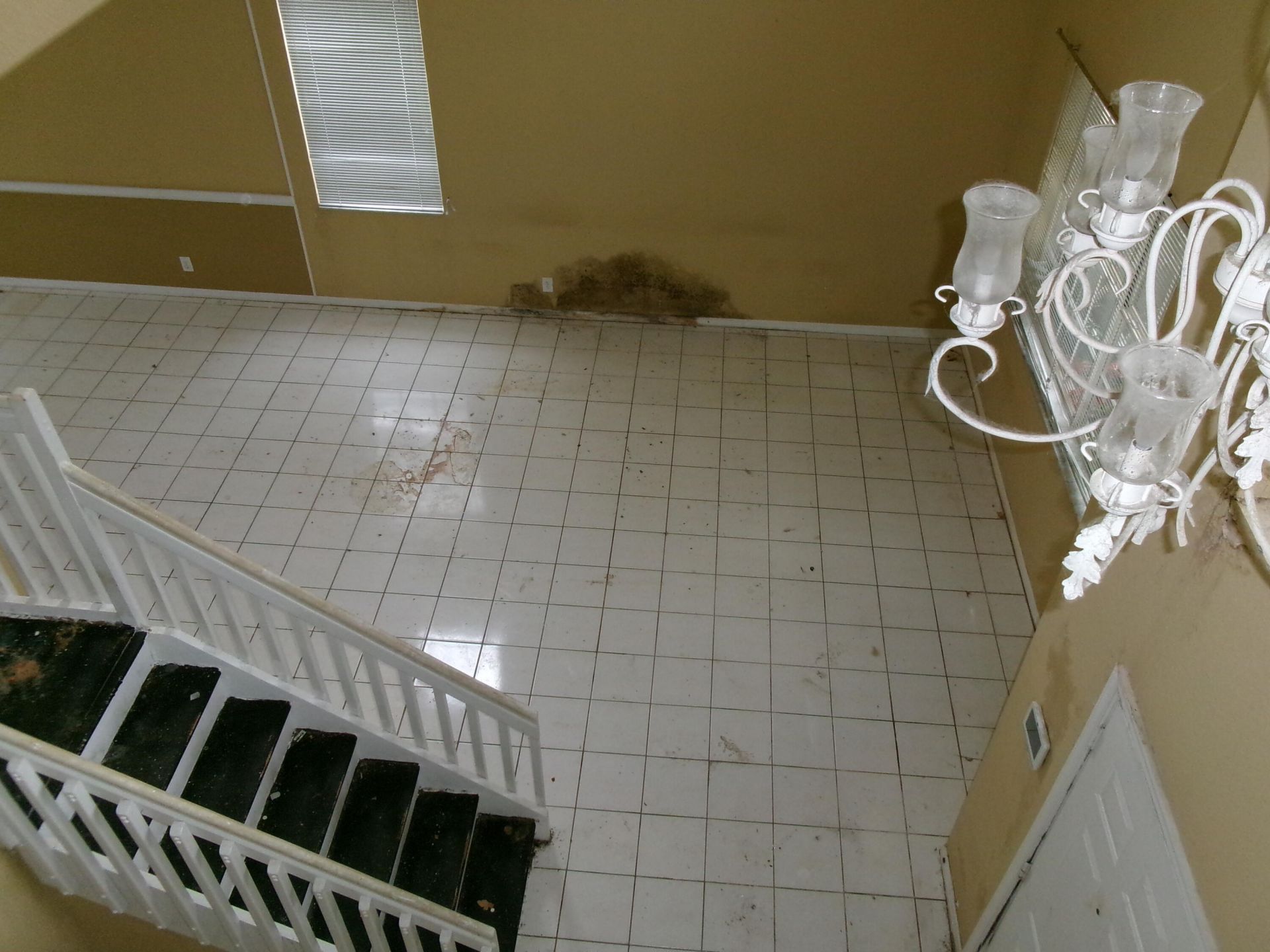 149 Cameron Drive, Weston, FL 33326 Photo