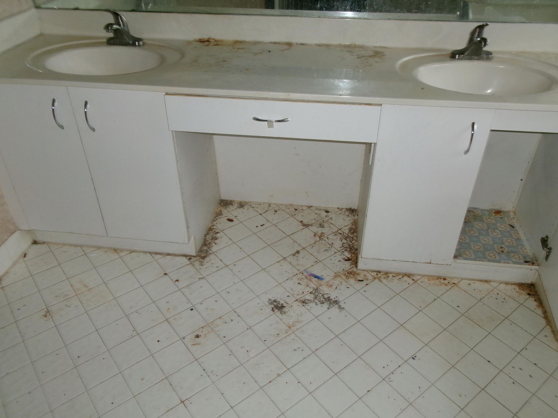 149 Cameron Drive, Weston, FL 33326 Photo