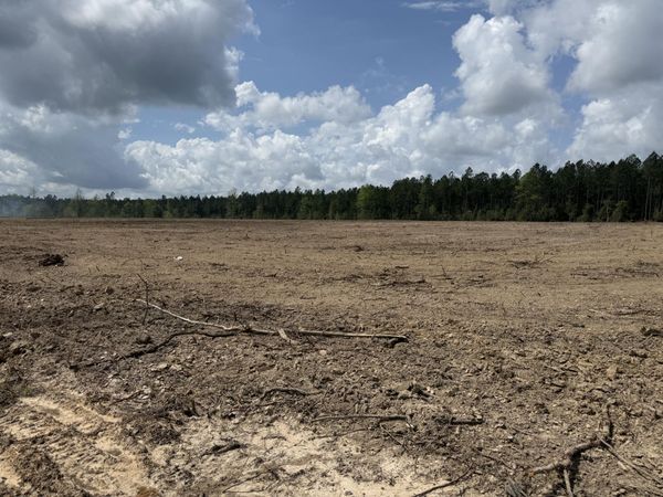 Wesley Coleman, Longville, LA 70652