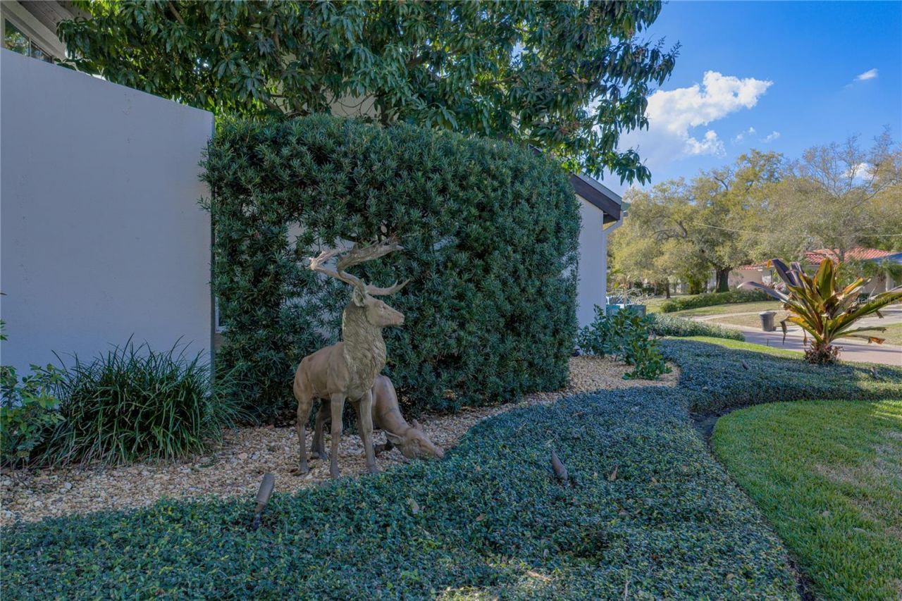 1200 45th Avenue N, Saint Petersburg, FL 33703 Photo