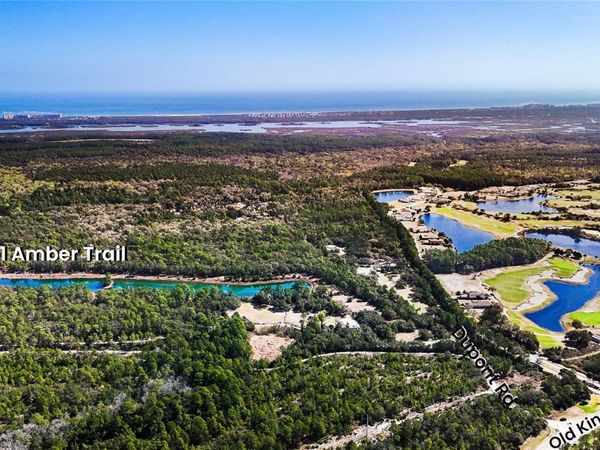 251 AMBER TRAIL, PALM COAST, FL 32137