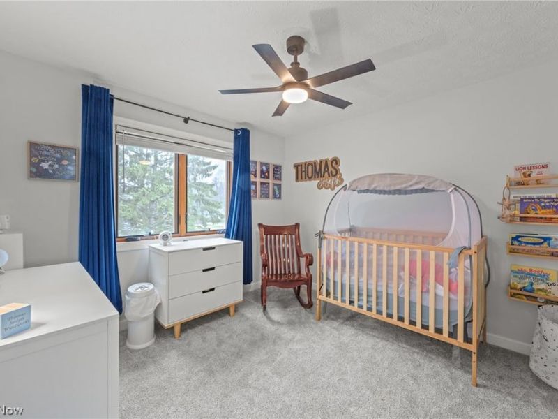 107 Keswick Court, Amherst, OH 44001 Photo 18