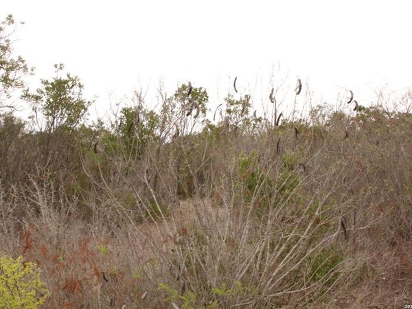 TBD County Road 573, Castroville, TX 78009