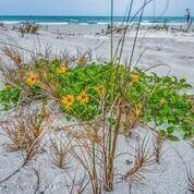 753 Spring Valley Drive, Melbourne, FL 32940 Photo