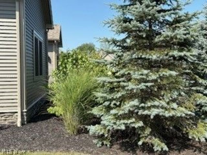 2939 Briarwood Court, Poland, OH 44514 Photo 11