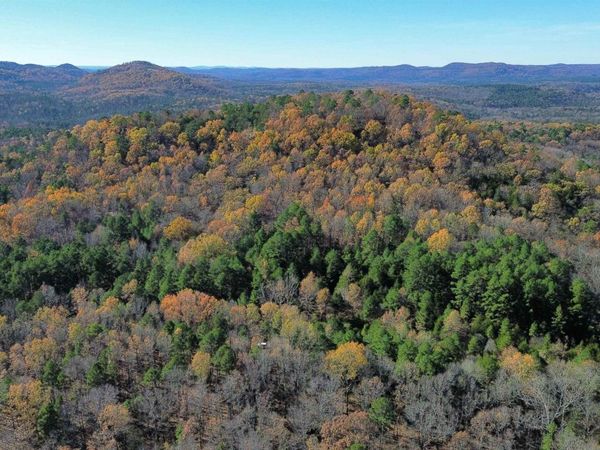 1980A Boyce Street, Melbourne, AR 72556