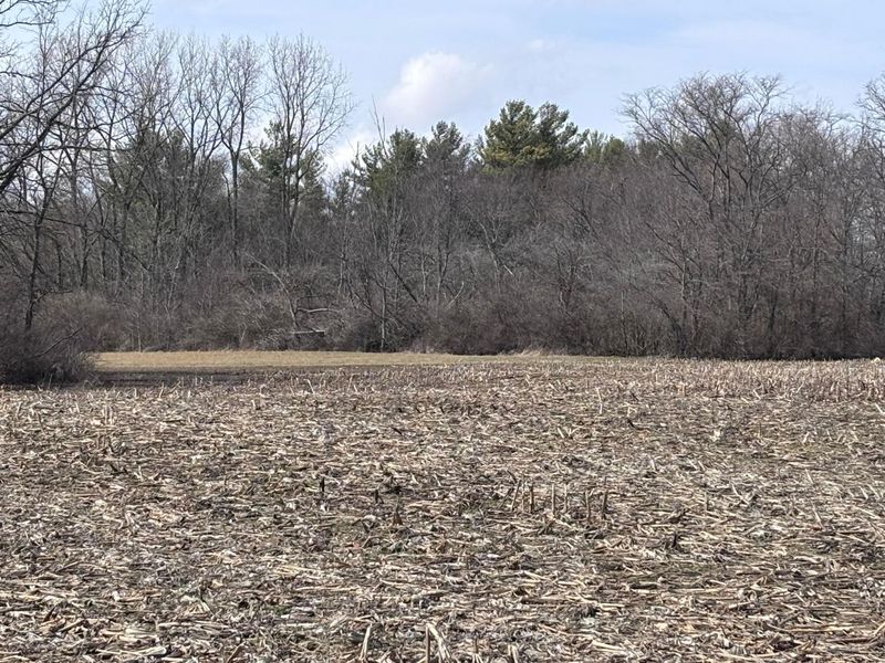 0 Old Xenia Road SE, London, OH 43140 Photo 2