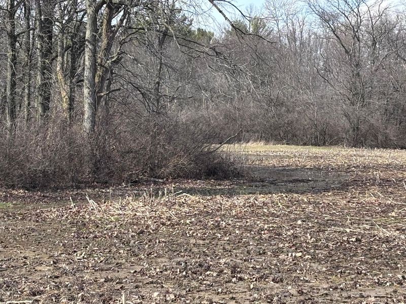 0 Old Xenia Road SE, London, OH 43140 Photo 6