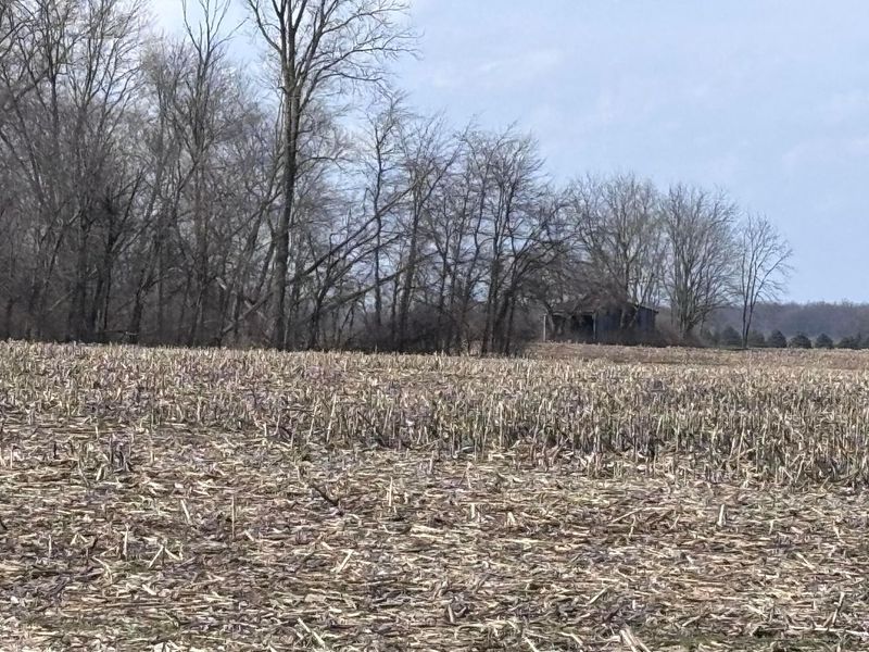 0 Old Xenia Road SE, London, OH 43140 Photo 8