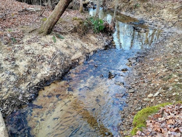 14 Creek Place, Monterey, TN 38574