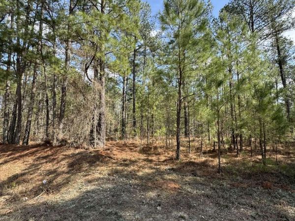 0 Anthony Shoals Road, Tignall, GA 30668