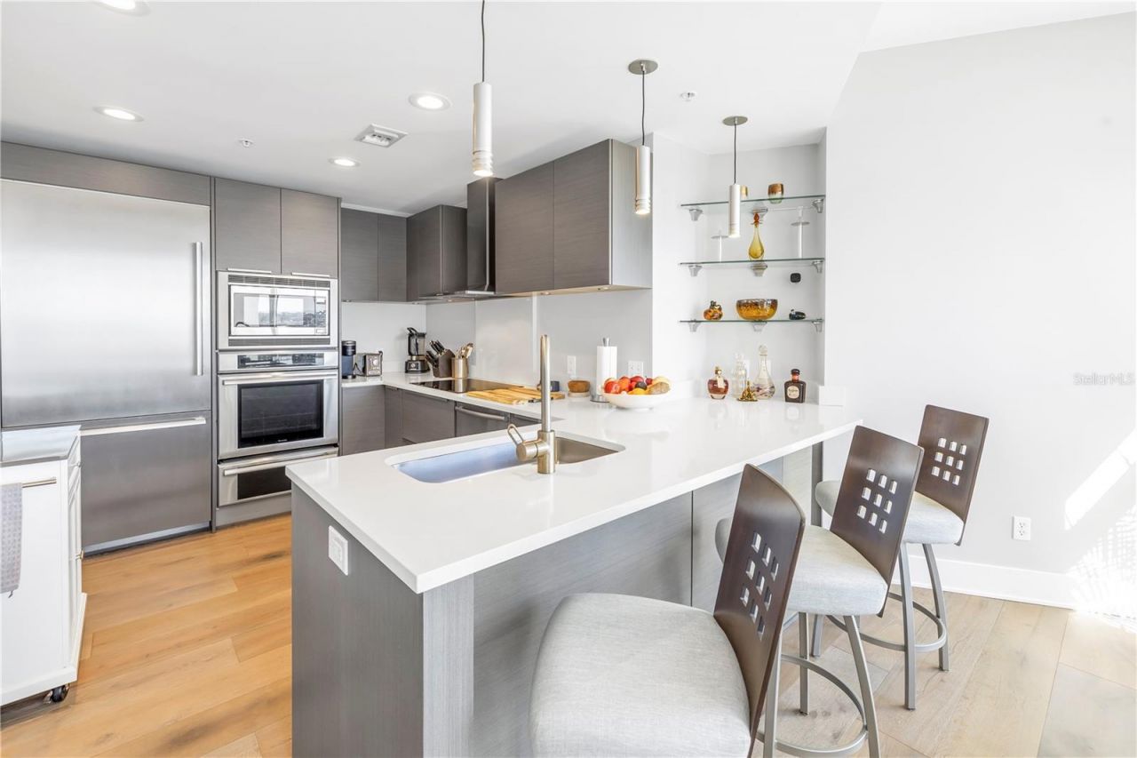 175 1st Street S, Unit 1006, Saint Petersburg, FL 33701 Photo