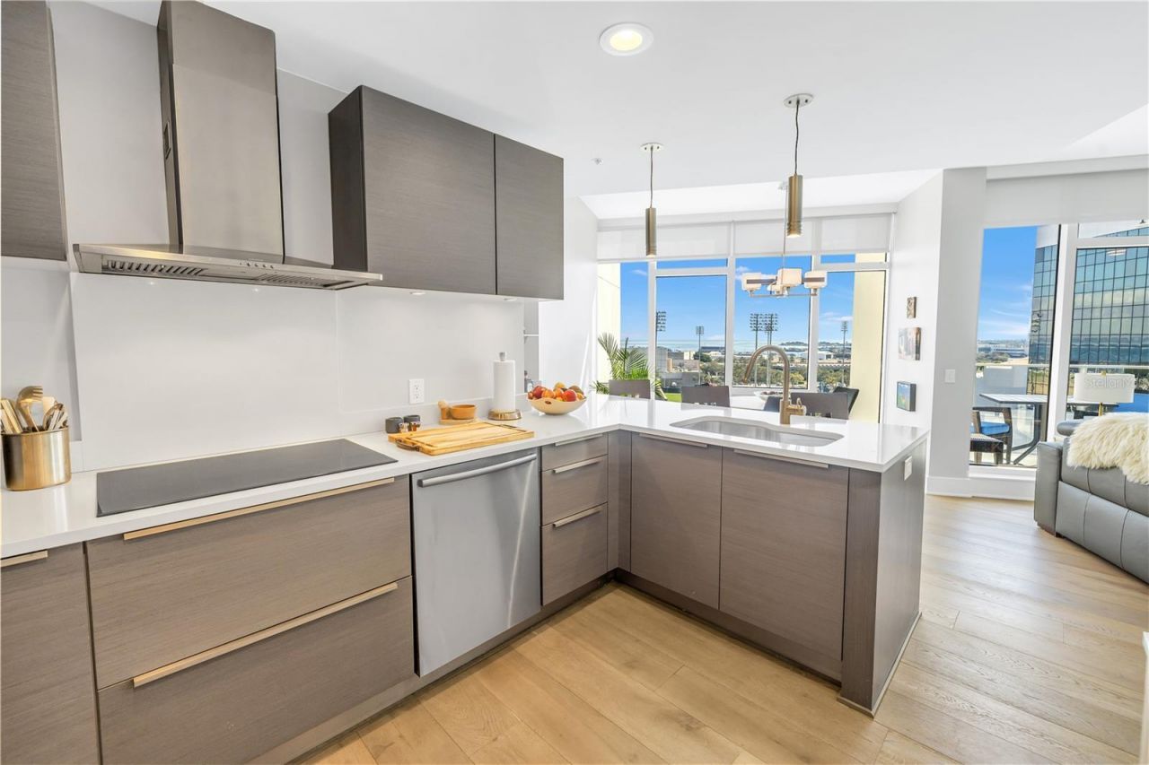 175 1st Street S, Unit 1006, Saint Petersburg, FL 33701 Photo