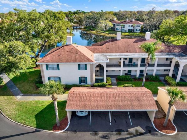 10330 CARROLLWOOD LANE , Unit 95, TAMPA, FL 33618