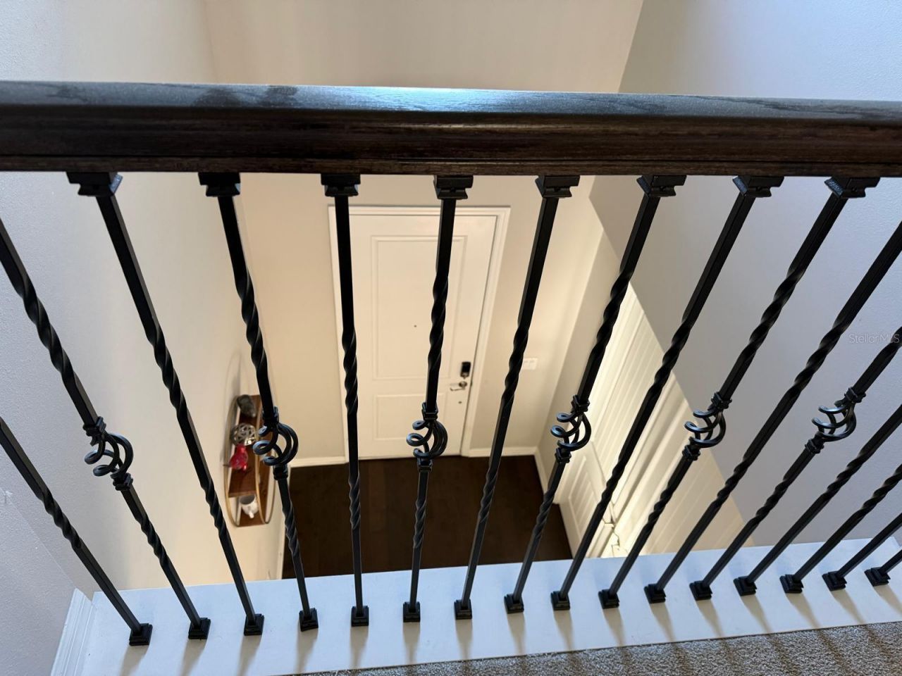 18783 Birchwood Groves Drive, Lutz, FL 33558 Photo