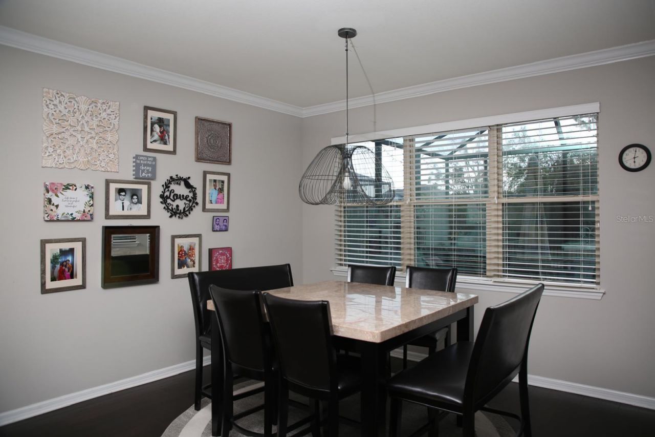 18783 Birchwood Groves Drive, Lutz, FL 33558 Photo